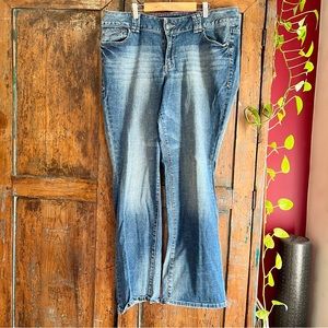 Lane Bryant Distinctly Boot Jeans